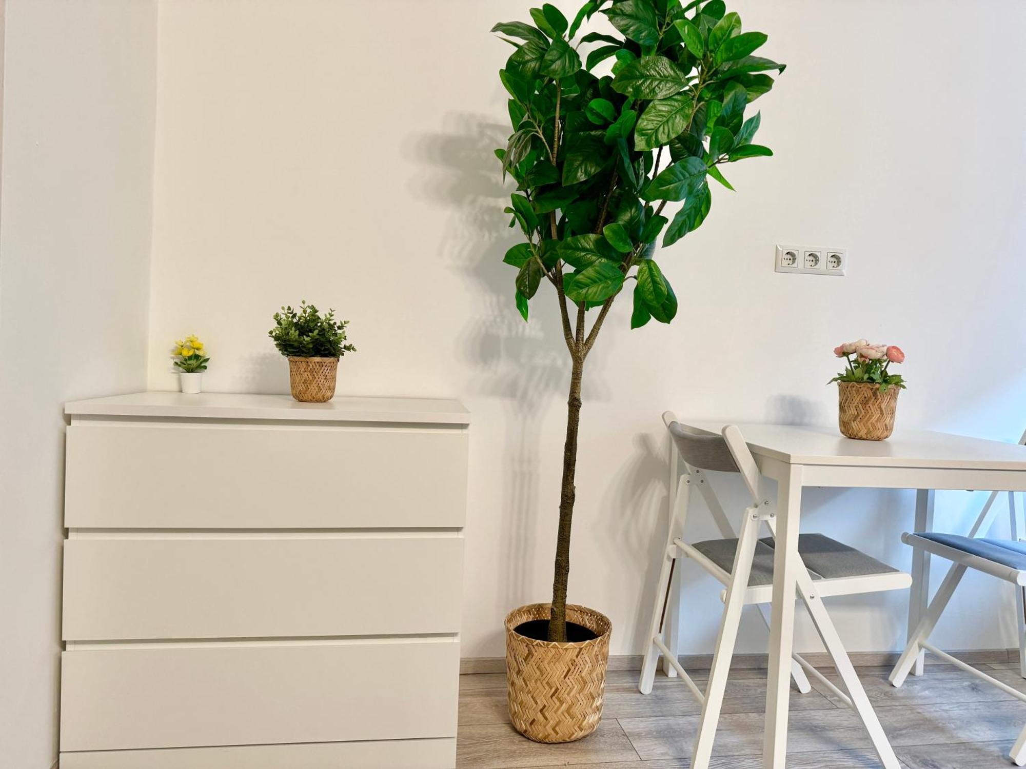 Stylish Schoenbrunn Apartments With Free Parking Viena Exterior foto
